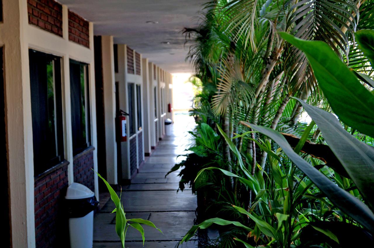 Hotel La Palapa Mazatlán Eksteriør bilde